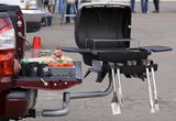 DIY Dual Swing Arm