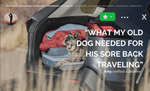 HEST Dog Bed