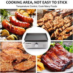 Camplux Outdoor Portable Griddles for RV, Camping and Tailgating - 17 Inch 13,000 BTU