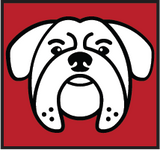 5 Ft Dog Winch Leash